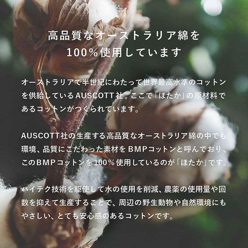サイズ詳細