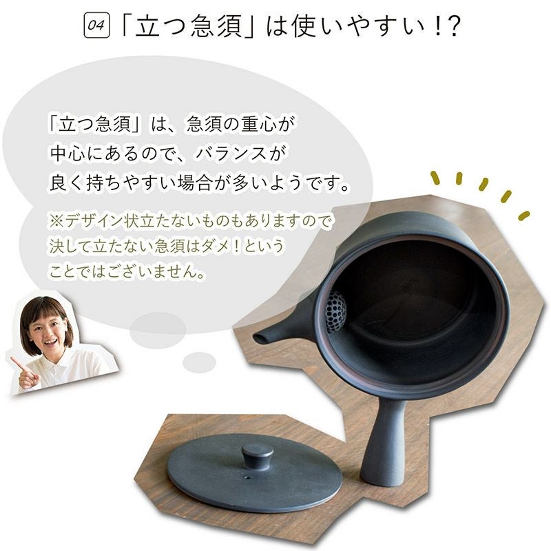 Sencha急須320 | トランパラン 公式オンラインストア