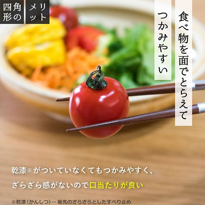 お箸 2膳セット キャレ 食洗機対応 若狭塗 天然木 23cm | トランパラン