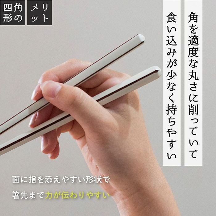 お箸 2膳セット キャレ 食洗機対応 若狭塗 天然木 23cm | トランパラン
